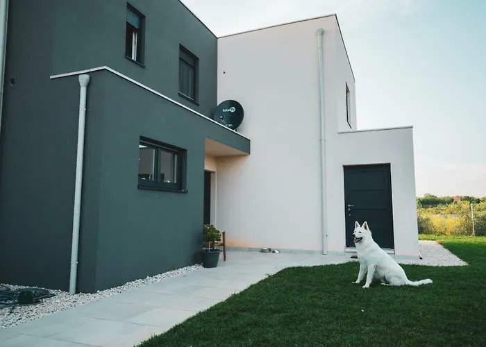 Enjoy Green, App With Swimming Pool, Garden, Pets Welcome Novigrad Istria