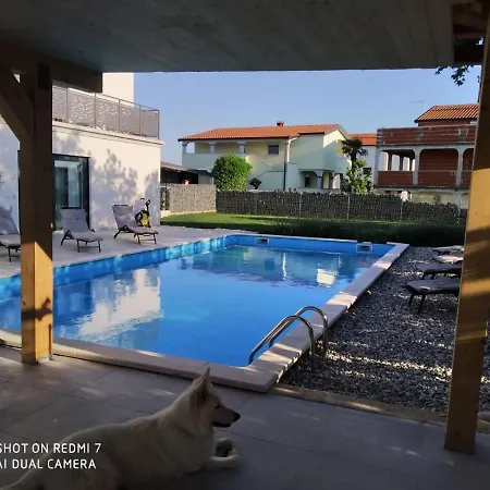 Enjoy Green, App With Swimming Pool, Garden, Pets Welcome * Novigrad Istria